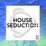House Seduction Vol 29