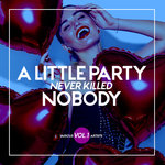 A Little Party Never Killed Nobody Vol 1
