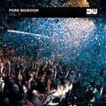 Pure Bigroom Vol 5