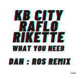 What You Need (Dan:Ros Remix)