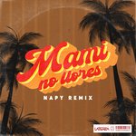 Mami No Llores (Acho Laterza By Napy Remix)