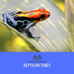 Reptilian Tones