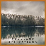 Woodland Reflections