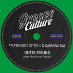 Gotta Feeling (Micky More & Andy Tee Club Mix)