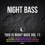 This Is Night Bass: Vol 11