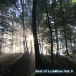 Best Of Lucidflow Vol 9