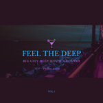 Feel The Deep (Big City Deep-House Grooves) Vol 1