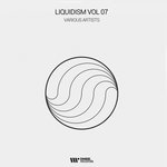 Liquidism Vol 07