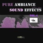 Pure Ambiance Sound Effects Vol 4