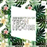 The Definition Of Tech House Vol 4