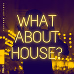 What About House Vol 3