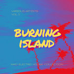 Burning Island (Mad Electro House Collection) Vol 3