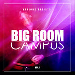 Big Room Campus Vol 1