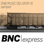 DNB Music Delivery IX Sampler