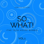 SO WHAT! (The Tech House Bombs) Vol 1