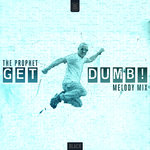 Get Dumb! (Melody Mix - Extended Mix)