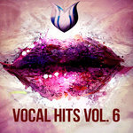Vocal Hits Vol 6