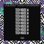Re:Process: Tech House Vol 36