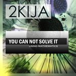 You Can Not Solve It Using Mathematics