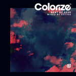 Colorize Best Of 2020 Mixed By Estiva