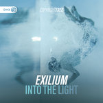 Into The Light (Extended Mix)