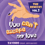 You Can't Escape My Love (The Remixes Vol 2)