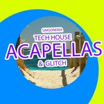 Tech House Acapellas & Glitch