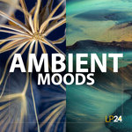 Ambient Moods (Sample Pack WAV)