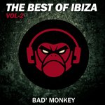 The Best Of Ibiza Vol 2