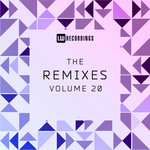 The Remixes Vol 20