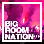 Big Room Nation Vol 19