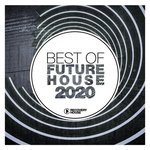 Best Of Future House 2020