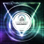 Future House Conglomerate Vol 9