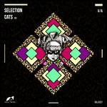 Selection Cats 001