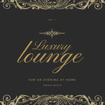 Luxury Lounge For An Evening At Home Vol 1