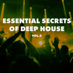Essential Secrets Of Deep House Vol 3