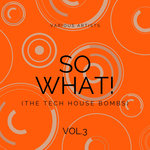 SO WHAT! (The Tech House Bombs) Vol 3