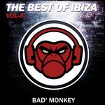 The Best Of Ibiza Vol 8 Compiled By Bad Monkey