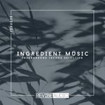 Ingredient Music Vol 38
