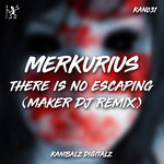 There Is No Escaping (Maker DJ Remix)