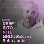 Deep Into Nite Grooves Vol 4