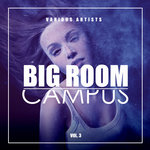 Big Room Campus Vol 3