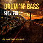 Drum & Bass Survivor Vol 1