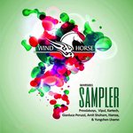 Wind Horse Sampler 01