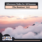 Afternoon Walks For All Seasons (The Remixes) Vol 1