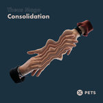 Consolidation EP