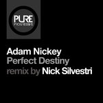 Perfect Destiny (Nick Silvestri Remix)