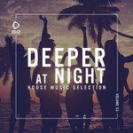 Deeper At Night Vol 53