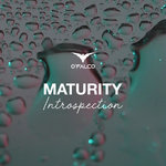 Maturity (Introspection)