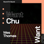 Want Chu (Original Mix)